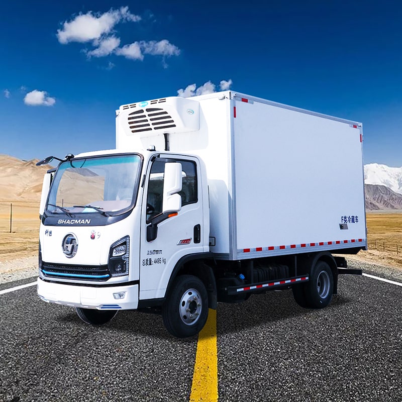 Camion frigorifique Shacman 4X2 4,2 m pour le transport de viande