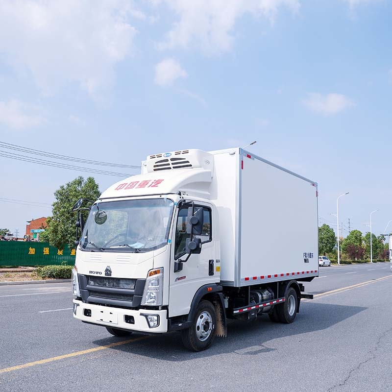 Howo 4X2 5T Refrigerated Truck
